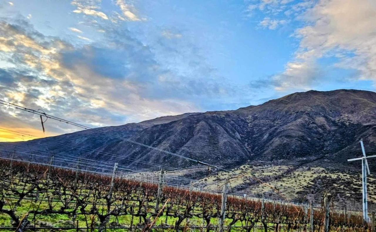 Gibbston - Wake Up In The Vines Lägenhet Exteriör bild
